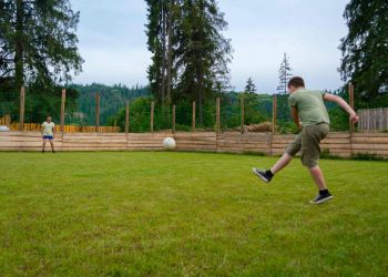 p1ano9q6c1kp16h29am12ahsca6